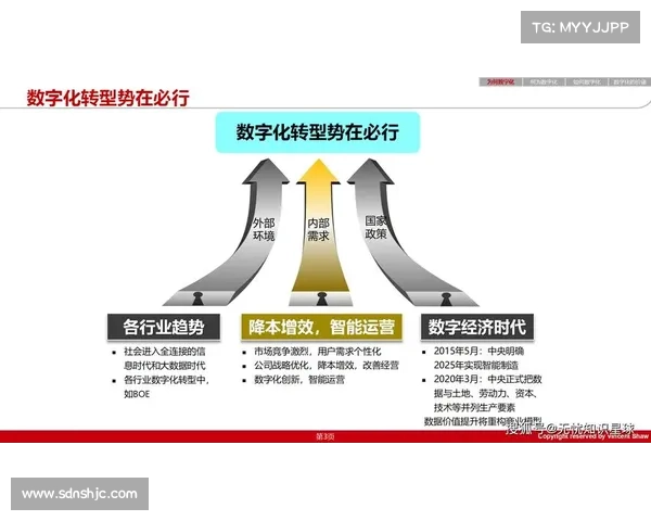 青云辅助在推动企业数字化转型中的关键作用与应用实践分析 青云辅助在推动企业数字化转型中的关键作用与应用实践分析