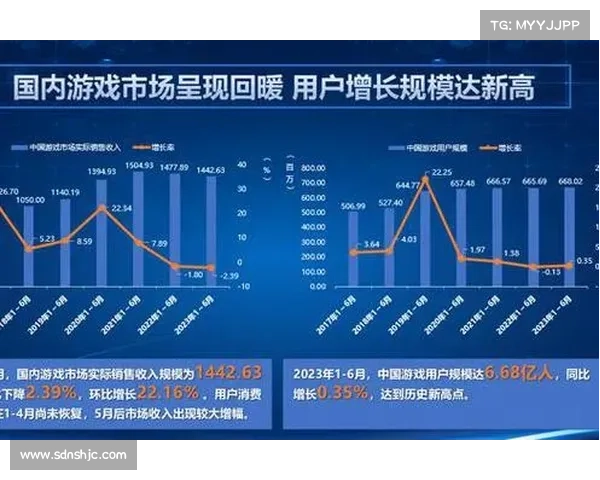 网络游戏玩家文化深度融合与社交互动策略全解析 网络游戏玩家文化深度融合与社交互动策略全解析