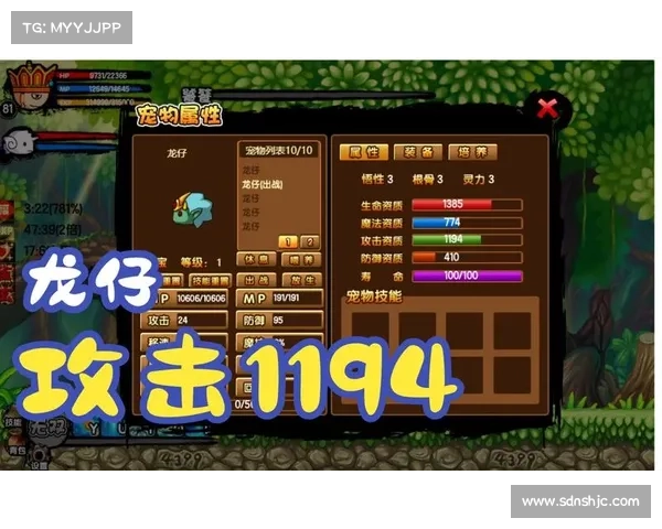 《造梦西游3》稀有宠物捕获全攻略及技巧详细解析 《造梦西游3》稀有宠物捕获全攻略及技巧详细解析
