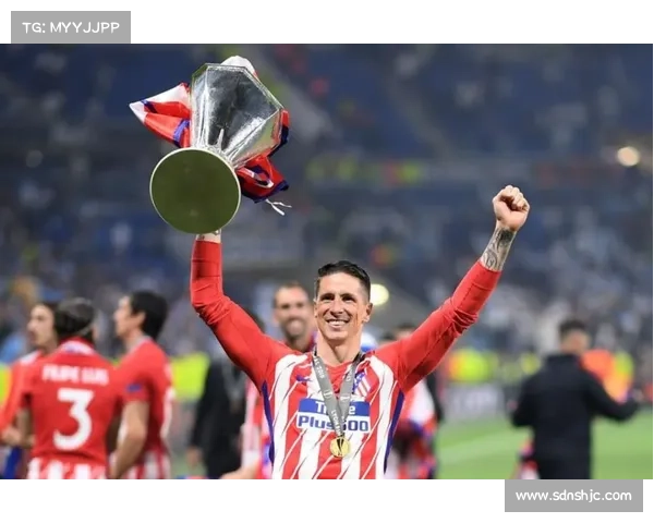 从金童到斗牛士托雷斯绰号背后的荣耀与成长故事