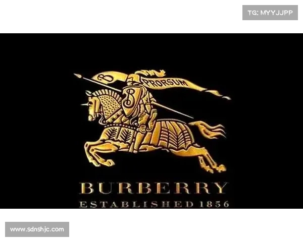 安联作为全球知名赞助商的角色与品牌战略特色解析